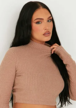 Billie Brown Rib High Neck Crop Top^Missy Empire Discount