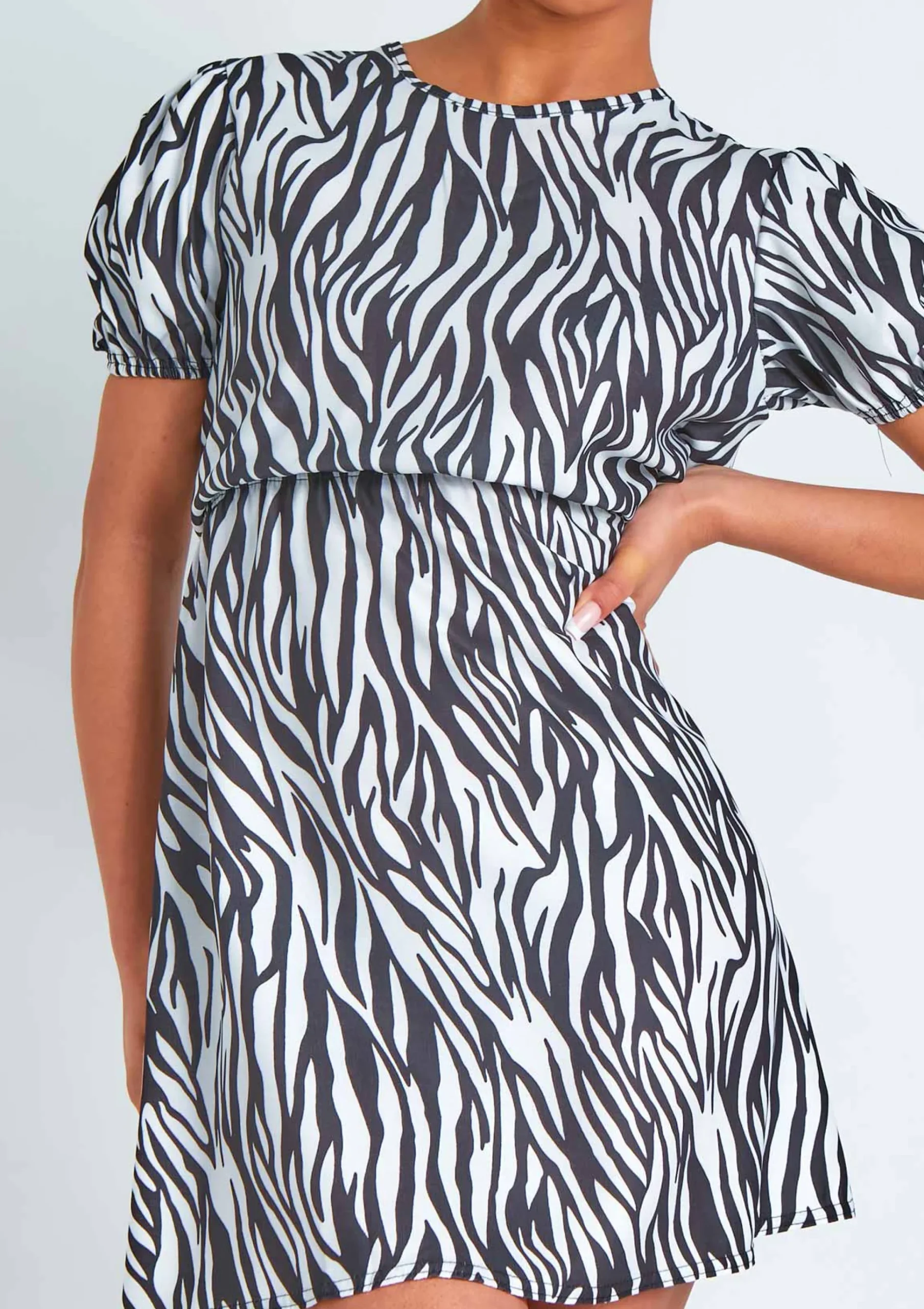 Best Sale Melanie Zebra Print Day Dress Women Dresses